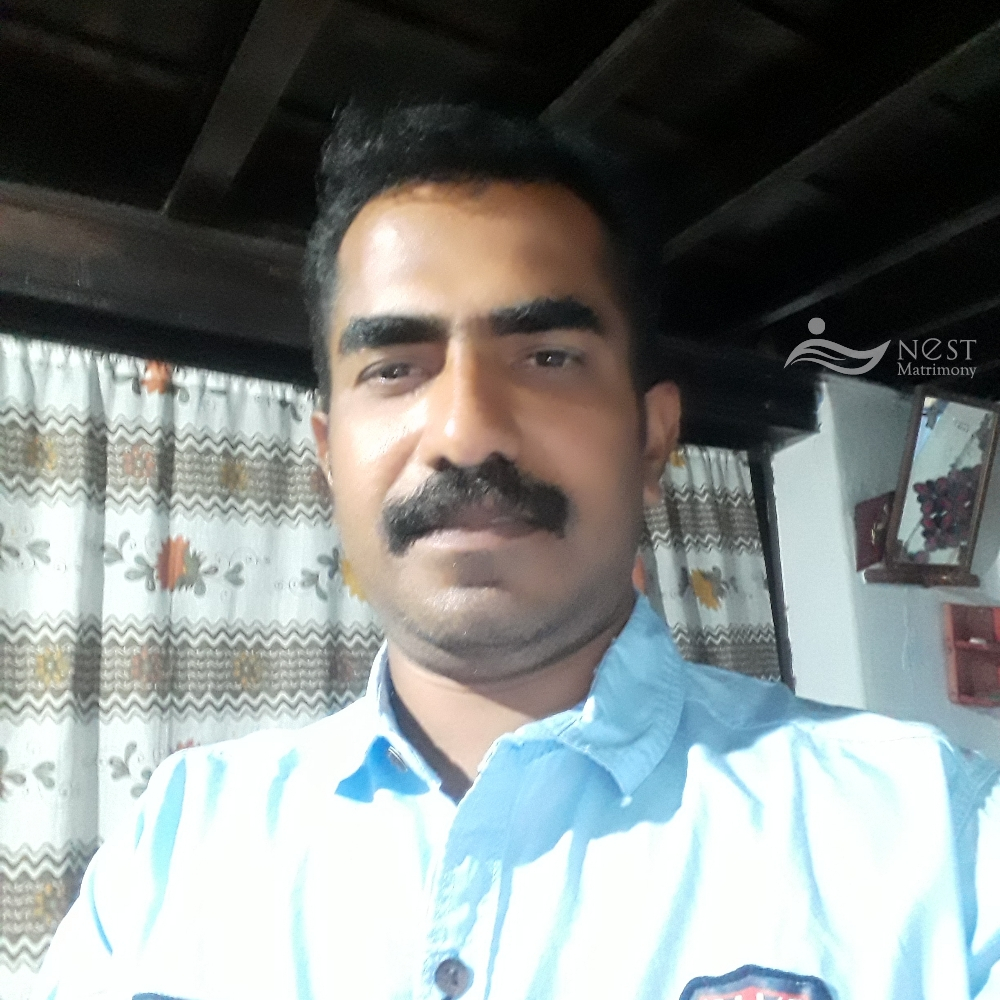 sreekumar k v